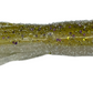2.75" Salty Tube Bulk Packs