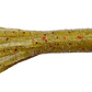 3.5" Salty Tube Bulk Packs